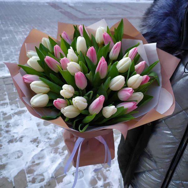 монобукет  тюльпаны