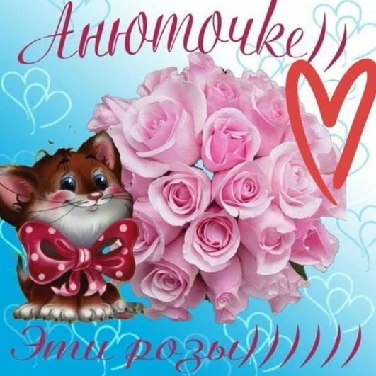 розы для анютки