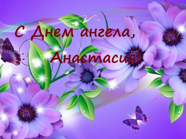 фиолетовые цветки