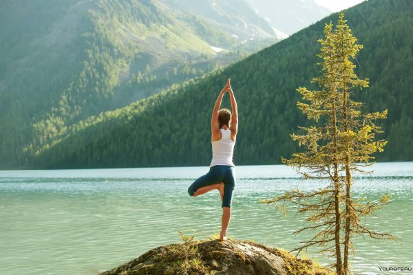 врикшасана поза дерева