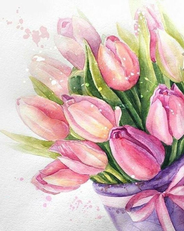 акварельные тюльпаны