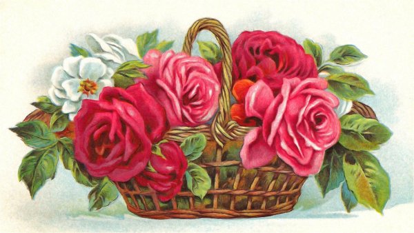 корзина с розами