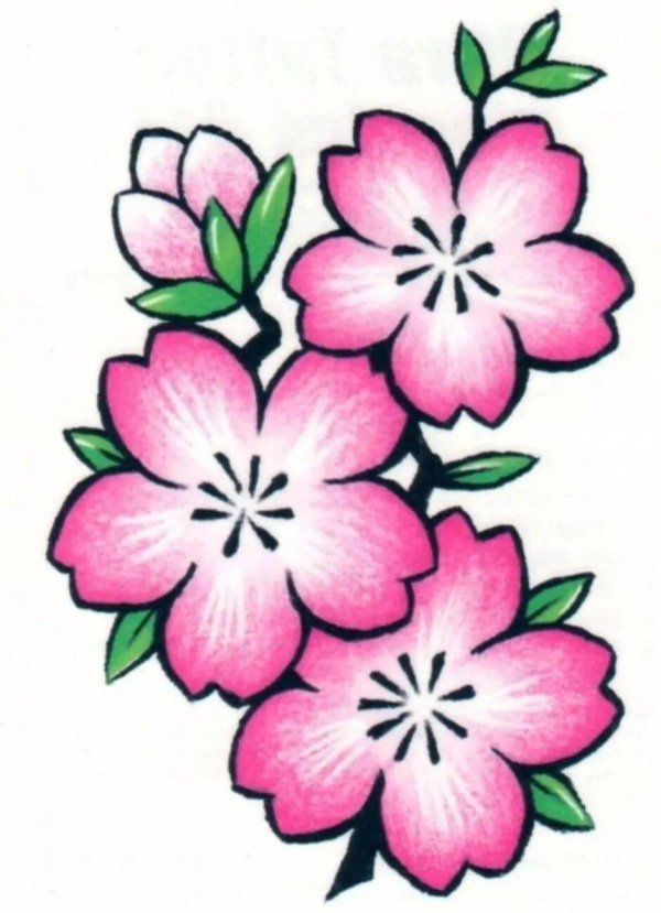 цветок для срисовки легкий