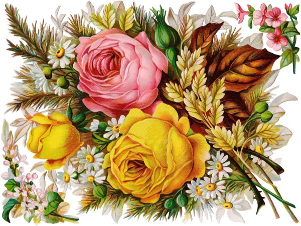 Рисованные с цветами