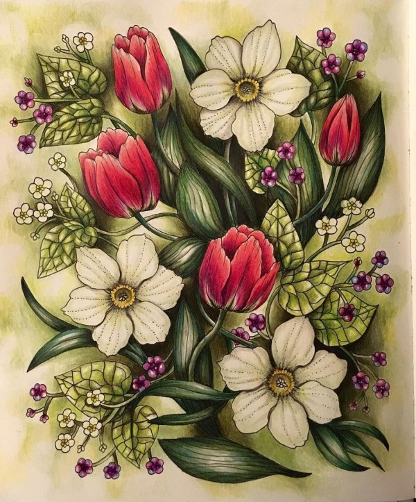 цветы цветными карандашами