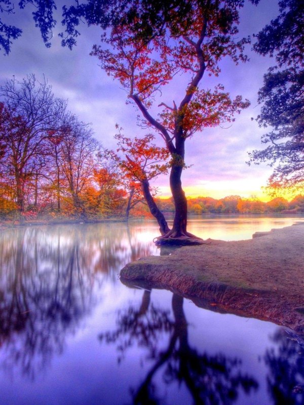 красивая природа осень