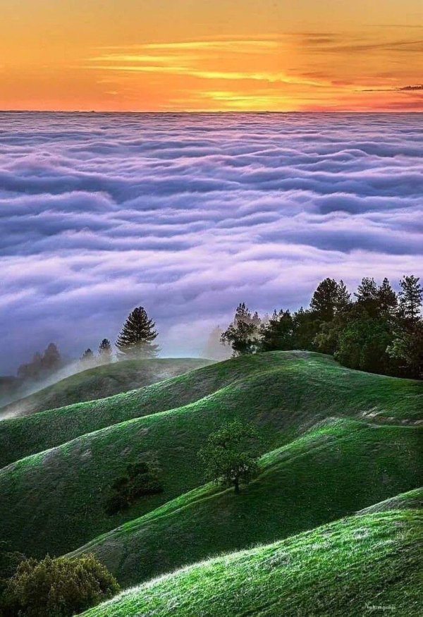 удивительная природа