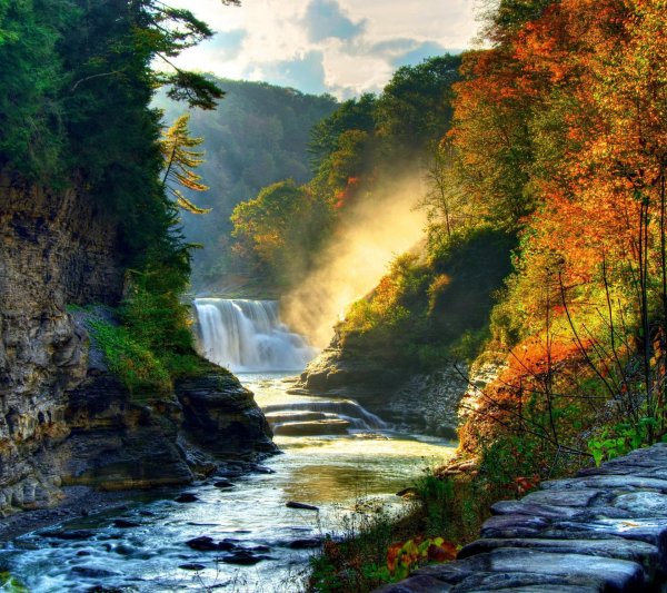 горы лес водопад