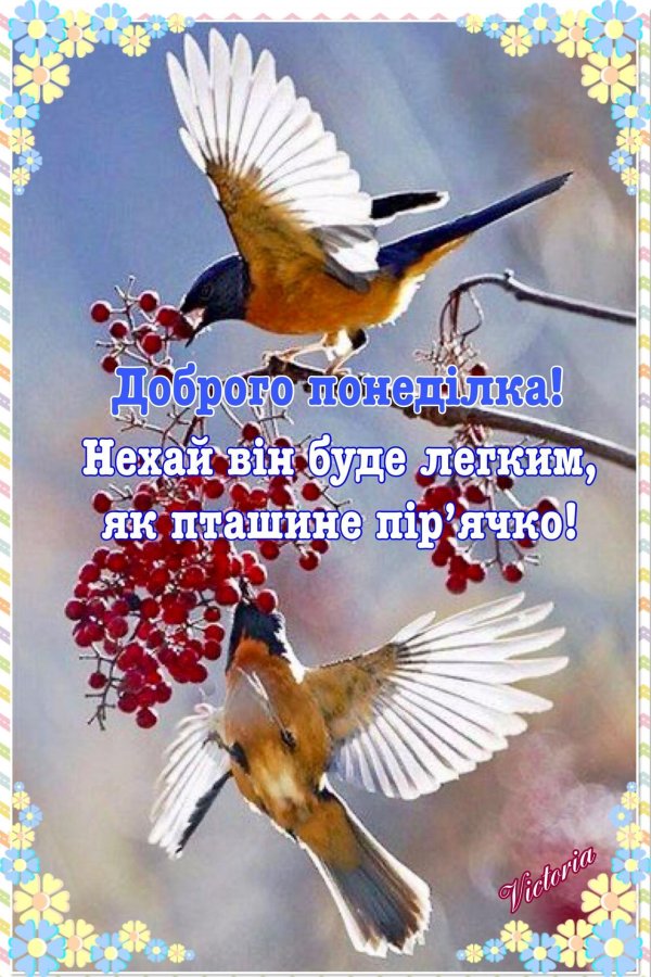 снегирь с рябиной