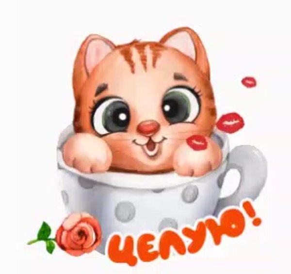 стикеры анимированные