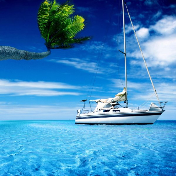 парусные яхты