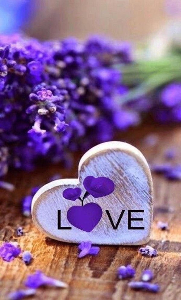 аромамасла лаванда