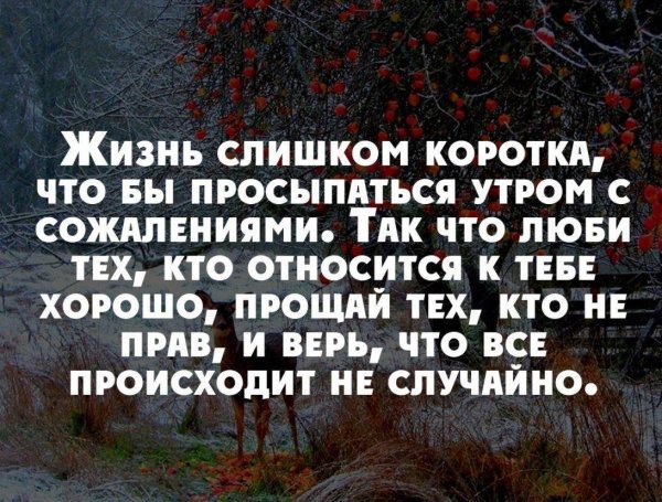 интересные статусы