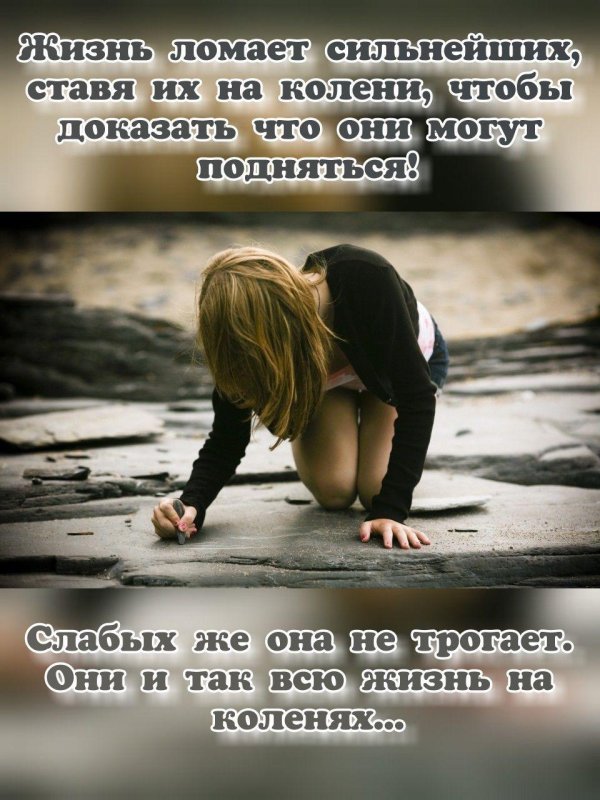 цитата жизни