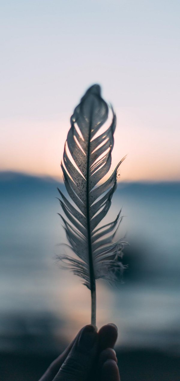 перья эстетика