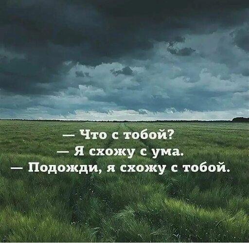 с ума сойду
