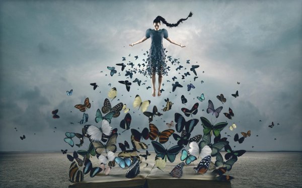 бабочка сюрреализм