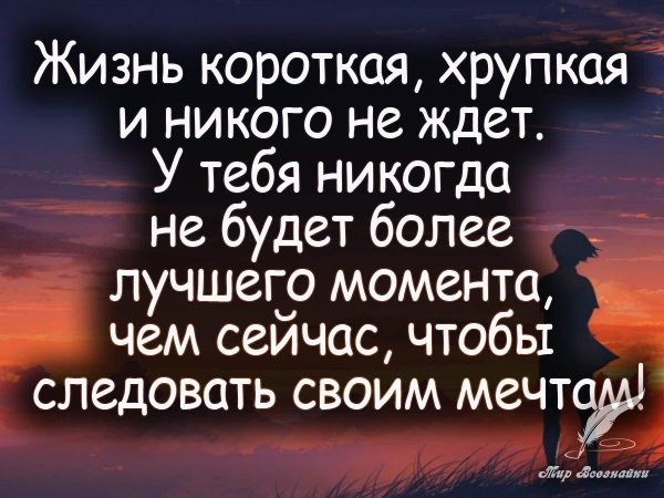 красивая фраза о жизни