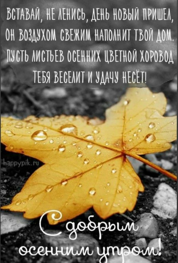 дождь осенний