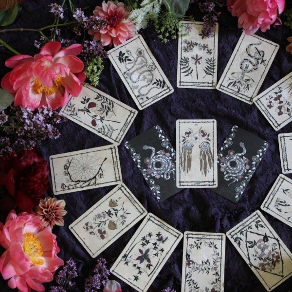 таро офидия роза