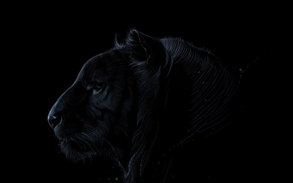 черная пантера ягуар