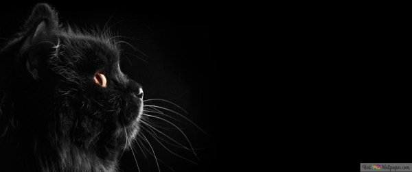 черный фон на рабочий стол