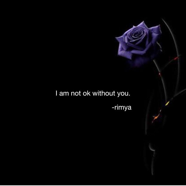 темно фиолетовые розы