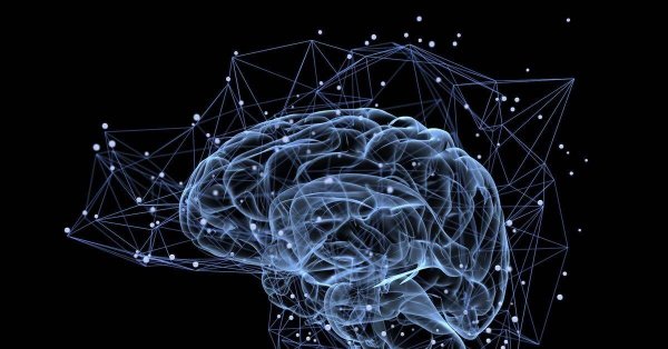 мозг нейронные связи