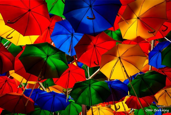 день разноцветных зонтиков