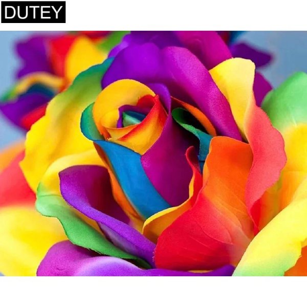 роза рейнбоу