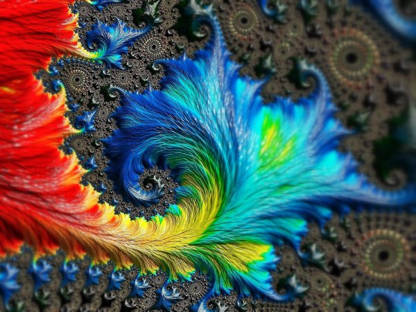 feather fractal