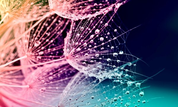 фон для рабочего стола