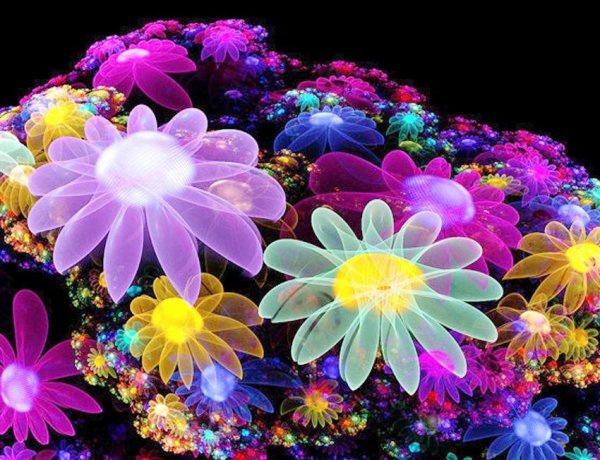 волшебные цветы