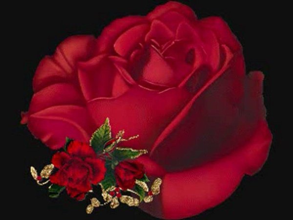 анимированная гифка