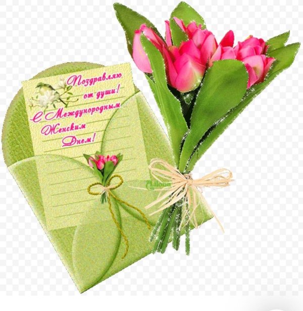 открытки с тюльпанами красивые