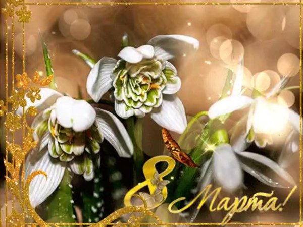 подснежники с 8 марта