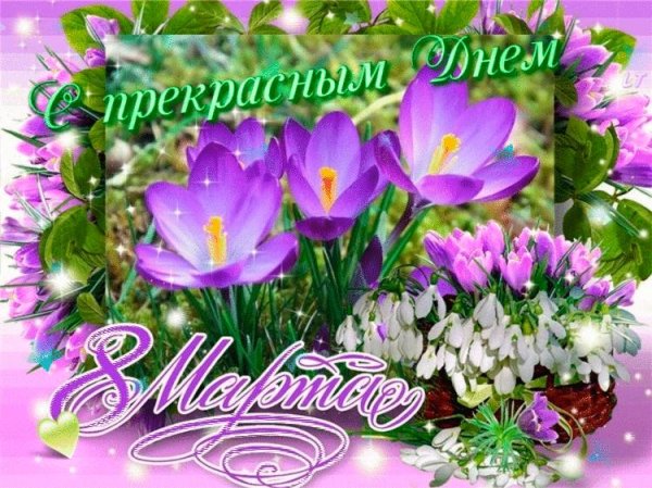 весенние цветы открытка