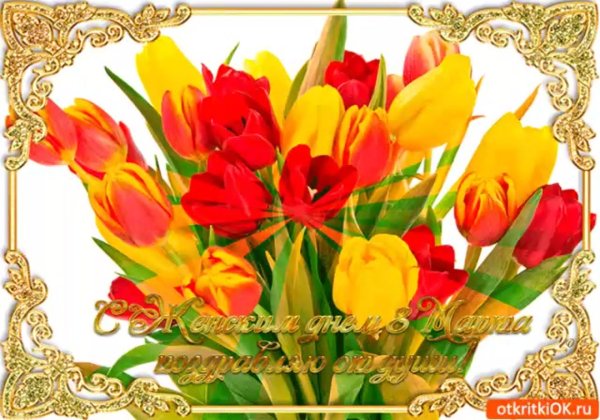 открытка букет тюльпанов