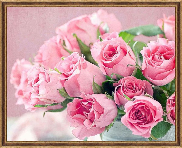 роза розовая