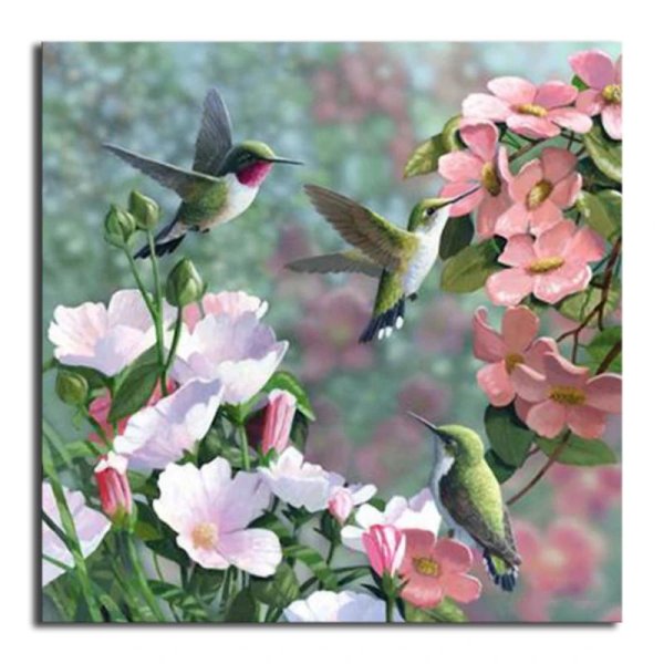 дименшенс колибри