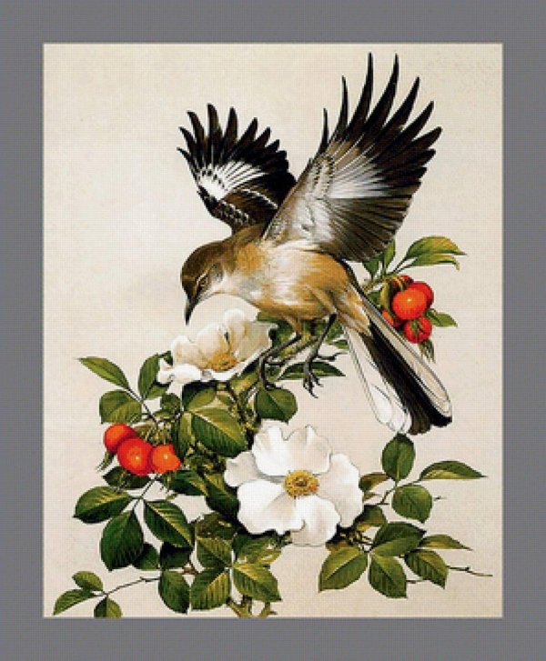 художник роджер тори петерсон