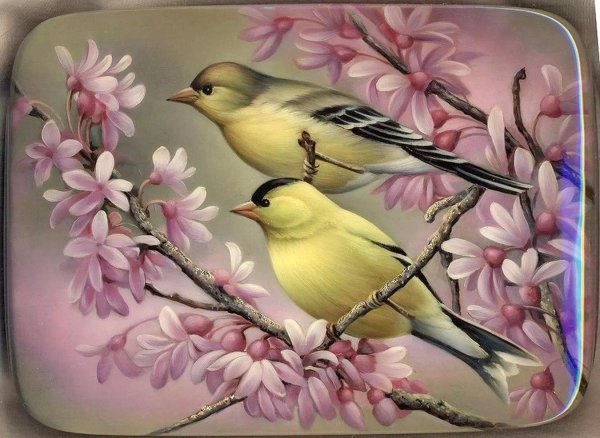 картины птиц