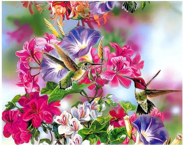 алмазная мозаика colibri