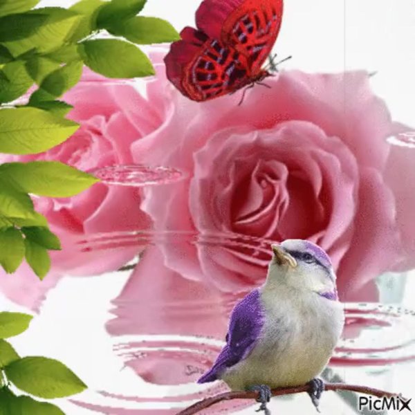 сверкающие птички