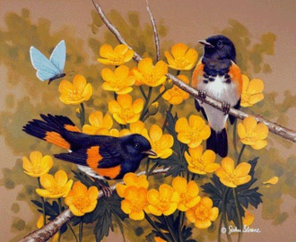 джон слоан цветы