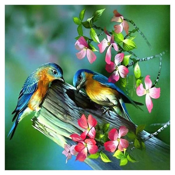 картины птиц