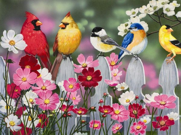 открытки с птичками
