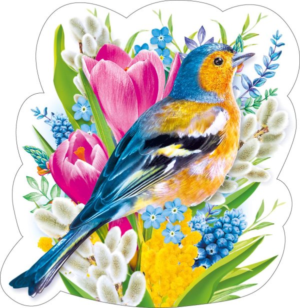 открытки с птичками