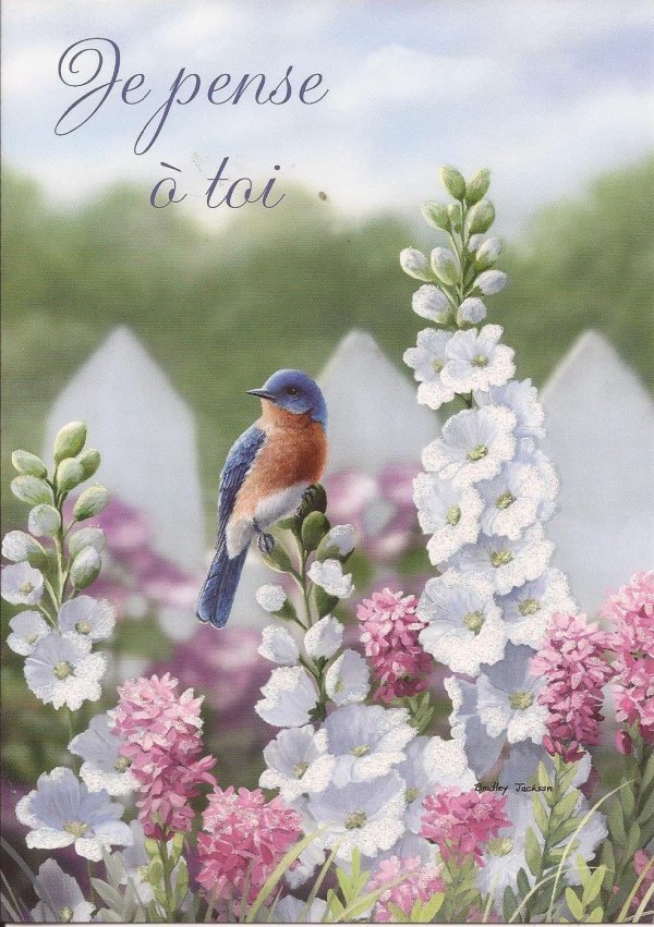 художник bradley jackson