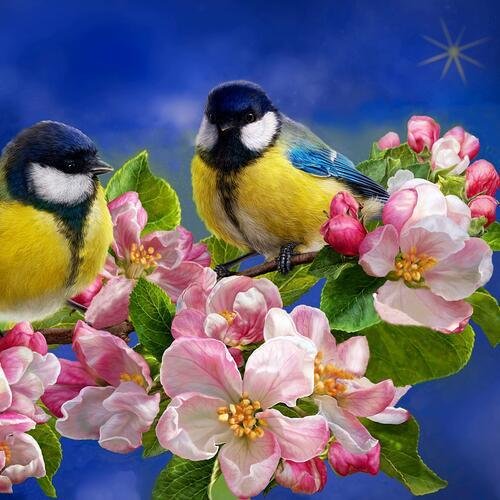 картина синички